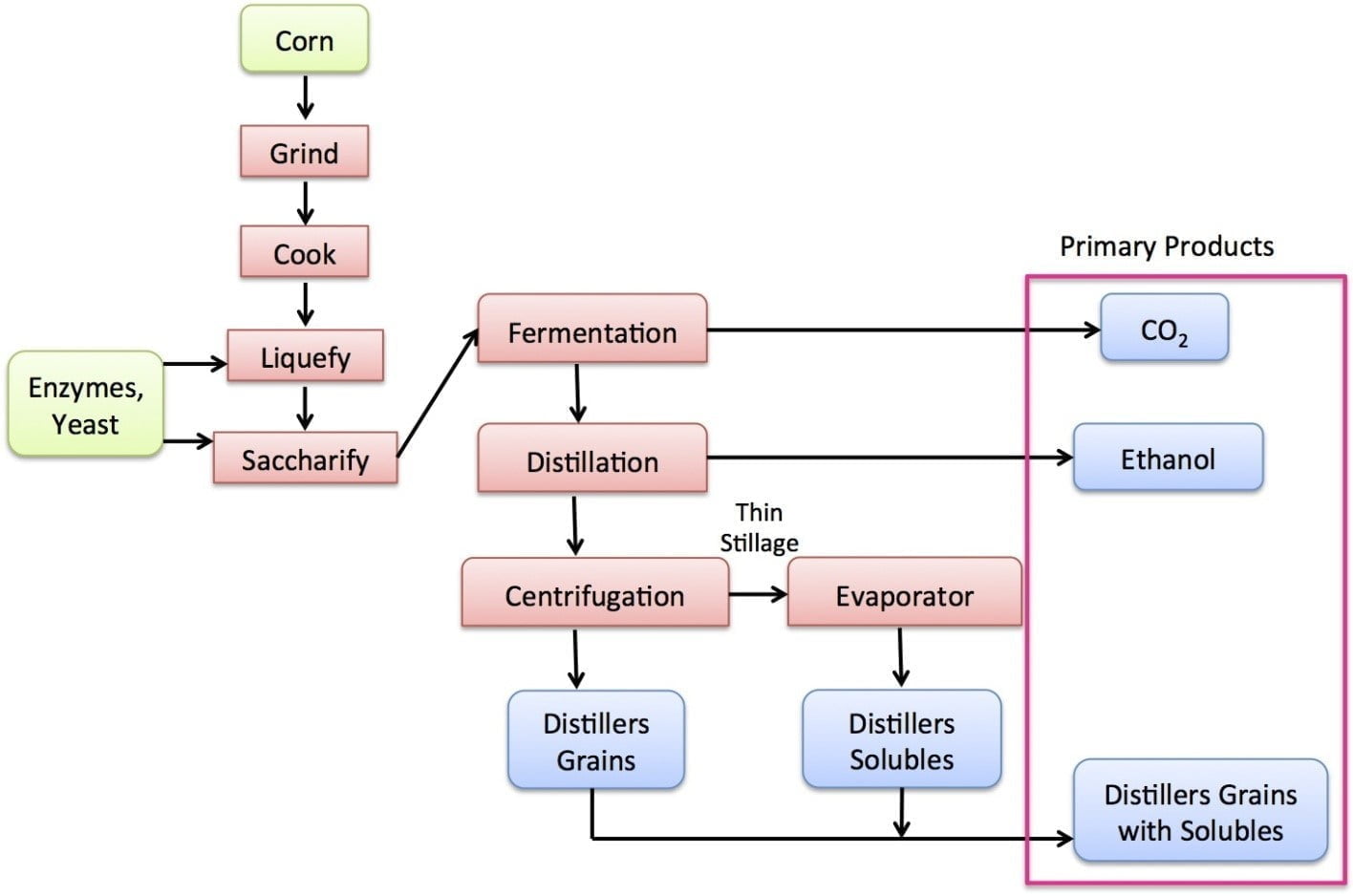 Bioethanol Production Process